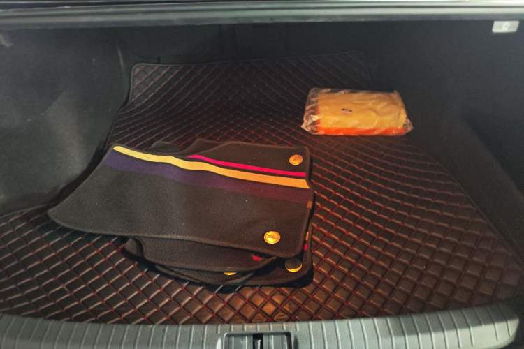 Used Volkswagen Magotan 2020 330TSI DSG Luxury Edition
