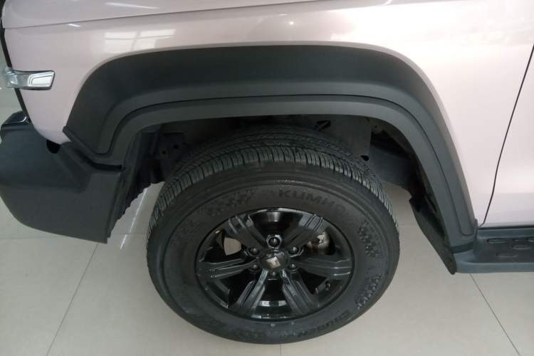 Used Tank 300 2024 2.0T Conqueror