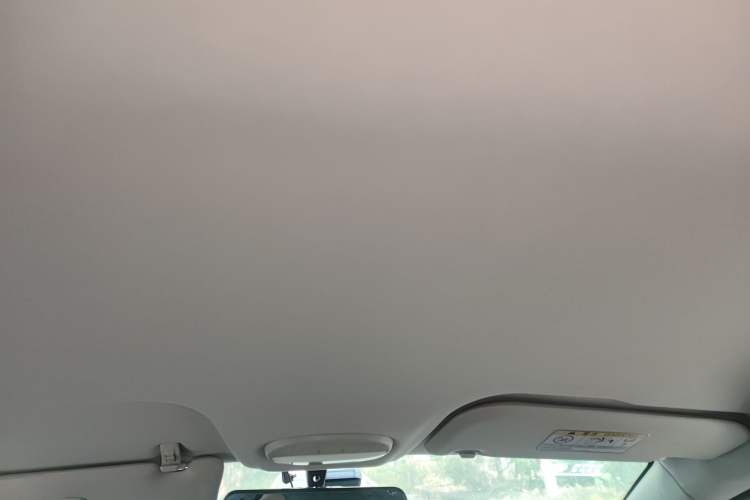 Used Chery Little Ant 2022 Sweet Pink Edition Half-Sugar Version Lithium Iron Phosphate 30 kW 301 km Headliner