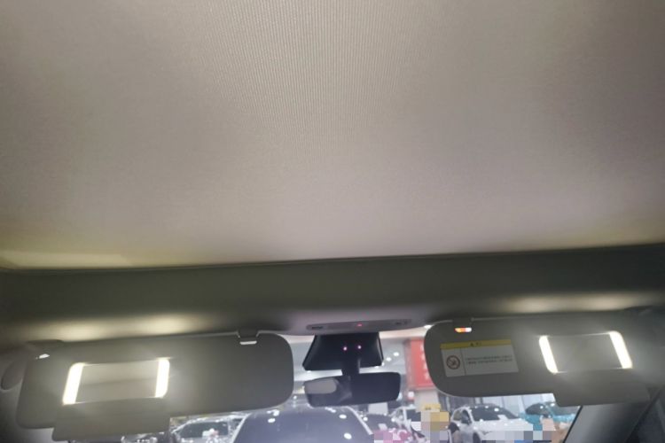 Used Tesla Model Y 2023 Rear-Wheel-Drive Version Headliner