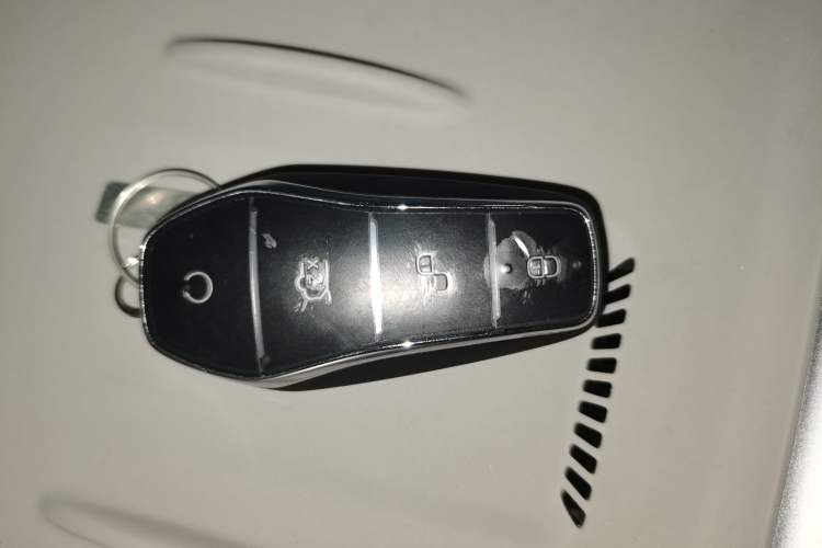 Used BYD Sealion 06 New Energy 2025 Model DM-i 170 Navigation Plus Edition Vehicle Key