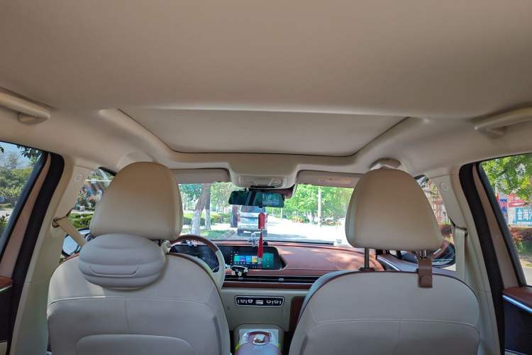 Used ORA Good Cat 2023 401 km Standard Range Premium Trim Ternary Lithium Headliner