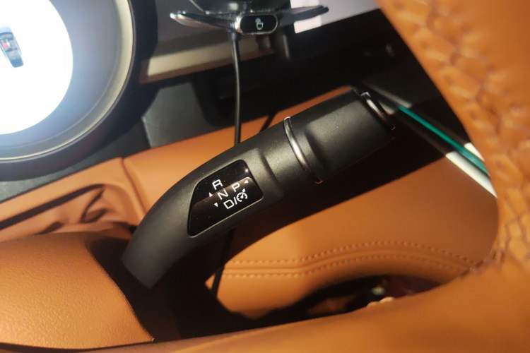 Used ORA Lightning Cat 2022 555 km Luxury Edition Gear Lever