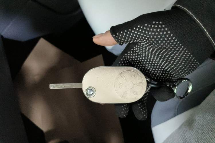 Used Bestune Pony 2024 170km Vitality Horse
