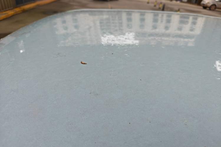 Used Wuling Hongguang MINIEV 2020 Zizai Version Lithium-NMC
