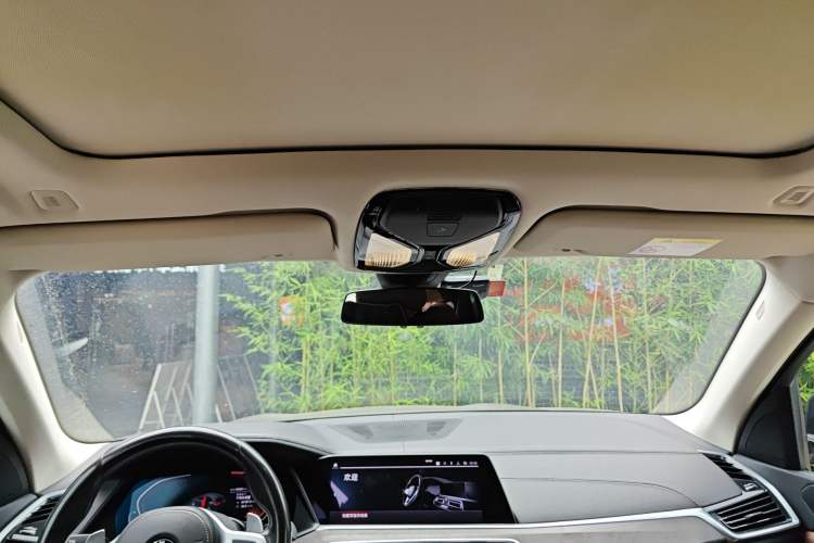 Used BMW X5  Headliner