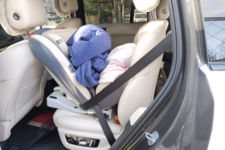 Used Li Auto L8 2023 Air model Left Rear Seat