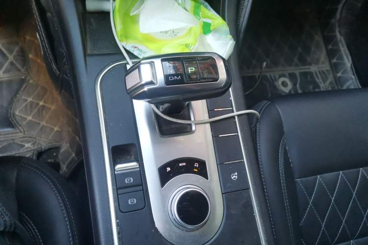 Used Great Wall Poer 2019 2.0T Automatic Gasoline Two-Wheel Drive Comfort Edition GW4C20B
