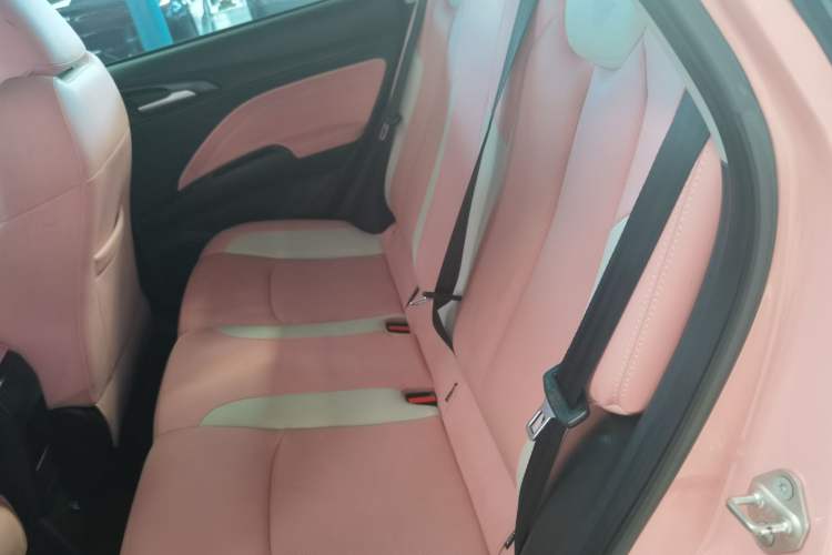 Used NETA V 2021 Witch Edition