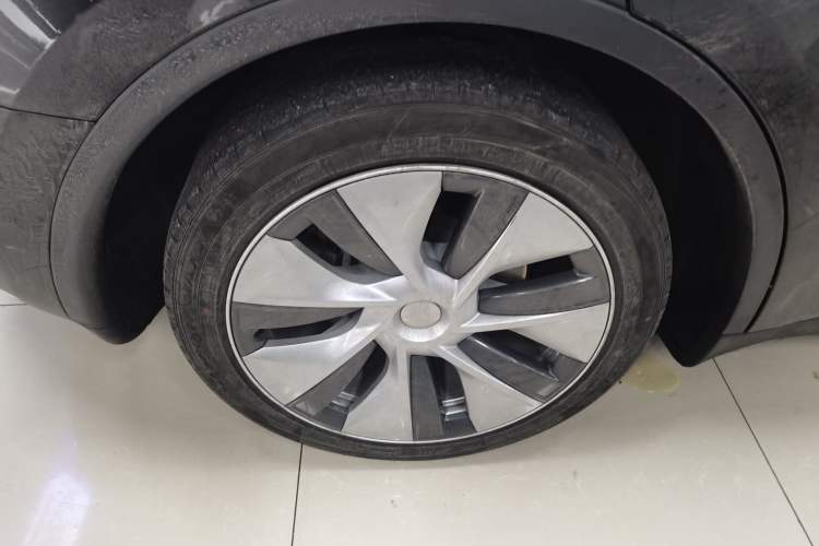 Used Tesla Model Y 2021 Standard Range Rear-Wheel Drive Version
