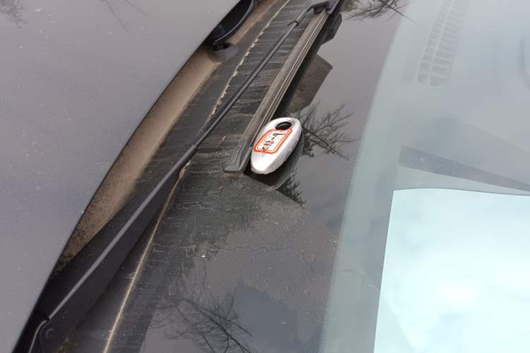 Used VOYAH PASSION 2024 PHEV Four-Wheel Drive Ultra-Long Range Executive Edition