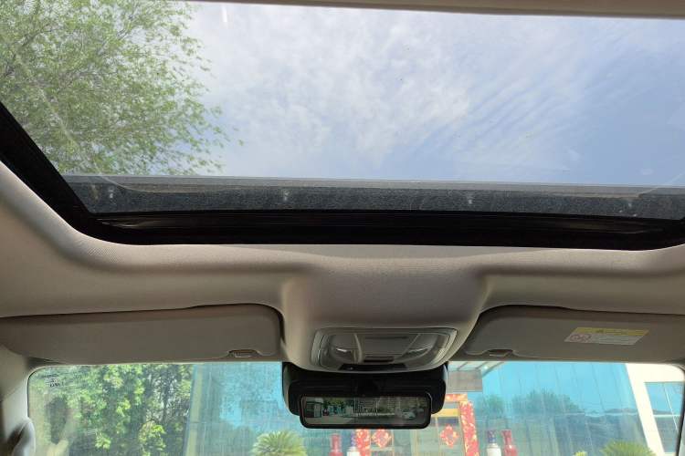 Used Tank 300 2021 City Edition 2.0T—Truly Stylish Headliner