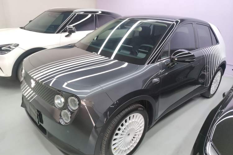 Used firefly 2025 Night Creature Special Edition