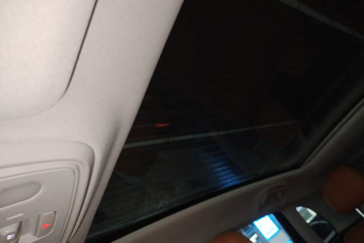 Used Leapmotor C10 2024 530 Smart Edition Headliner