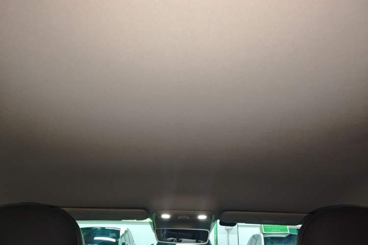 Used Leapmotor C10 2024 530 Comfort Edition Headliner