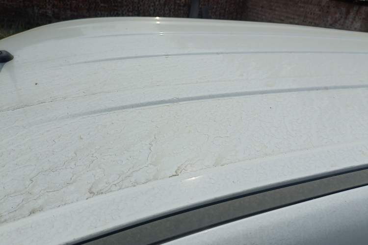 Used Wuling Hongguang New Energy 2024 All-Electric Model 300KM Practical Version Roof