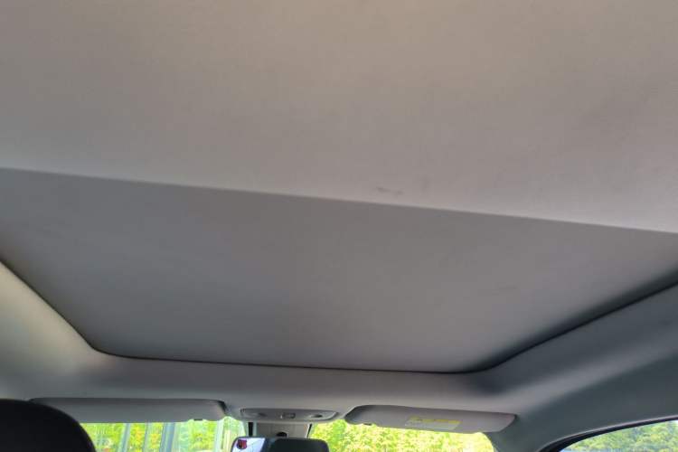 Used Leapmotor T03 2020 400 Luxury Edition Headliner