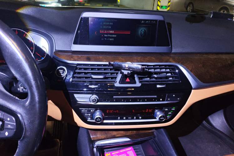 Used BMW 5 Series 2018 528Li Launch Special Edition
