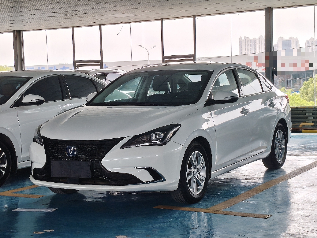 Parte inferior delantera