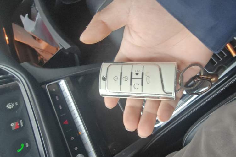 Used GAC Trumpchi GS8 2020 390T Two-Wheel Drive Luxury Smart Connectivity Version (7 Seats)