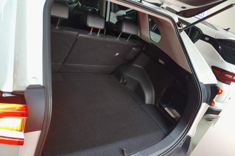 Used Toyota Wildlander 2022 2.0L CVT Two-Wheel Drive Luxury PLUS Edition
