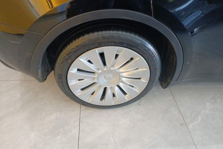 Used Tesla Model Y 2023 Rear-Wheel-Drive Version Exterior 5