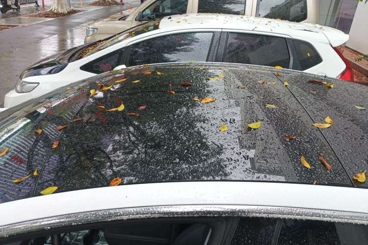 Used Tesla Model 3 2020 Standard Range Rear-Wheel Drive Upgraded Version