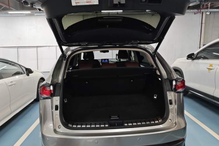 Used Lexus NX 2016 200 All-Wheel Drive FENGSHANG Version