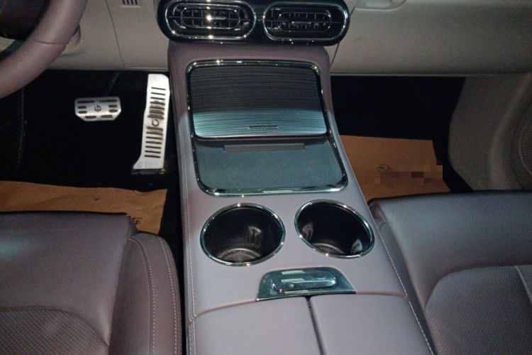 Used Leapmotor C11 2023 Pure Electric 500 Smart Edition
