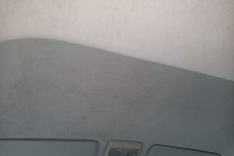 Used Jinbei New Hiace X30L 2018 1.5L Box Truck Wealth Edition DLCG14 Headliner