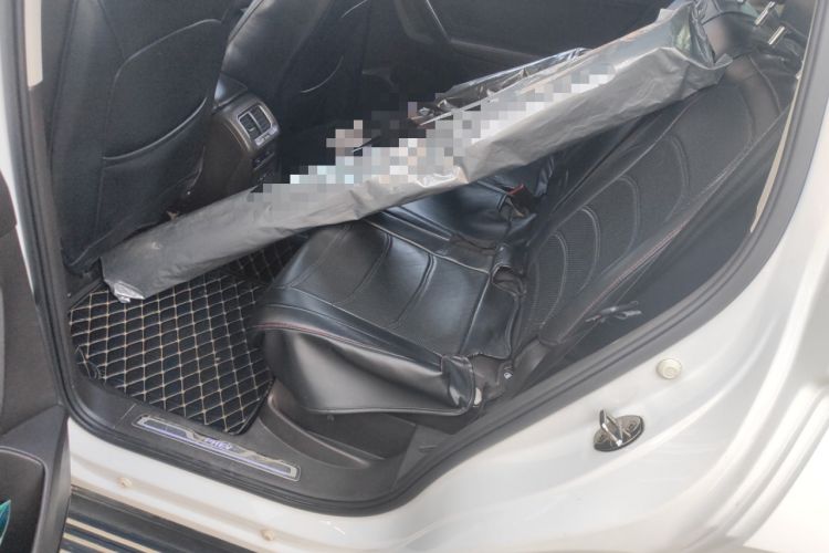 Used Volkswagen Tiguan L New Energy 2019 430 PHEV Hybrid Luxury Edition Left Rear Seat