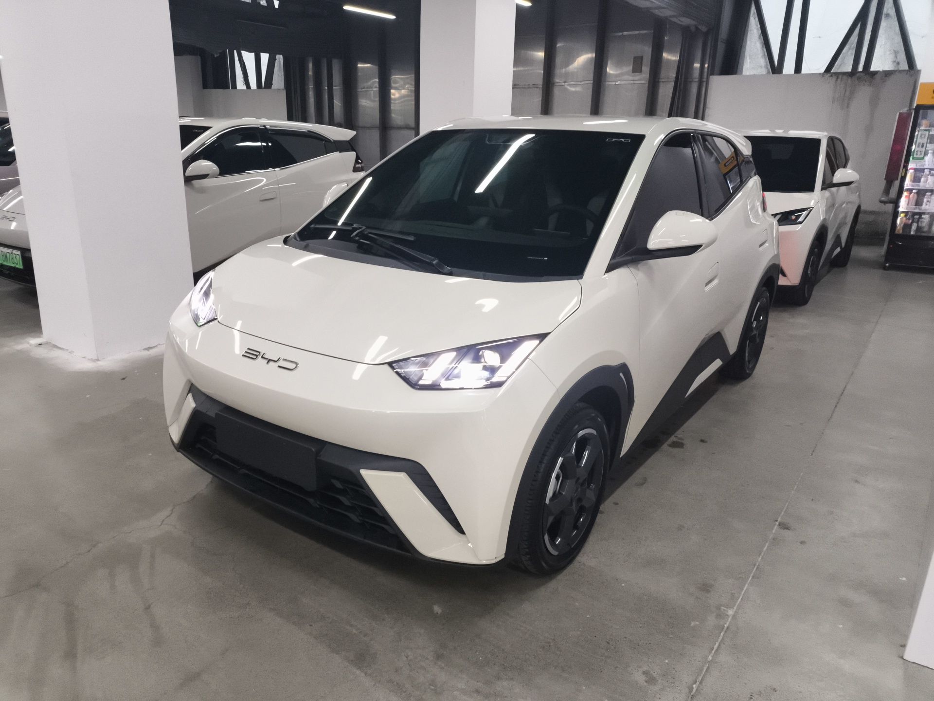 Parte inferior delantera