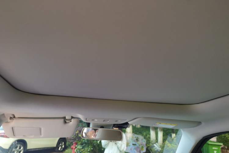 Used Leapmotor T03 2022 Star Diamond Edition Headliner