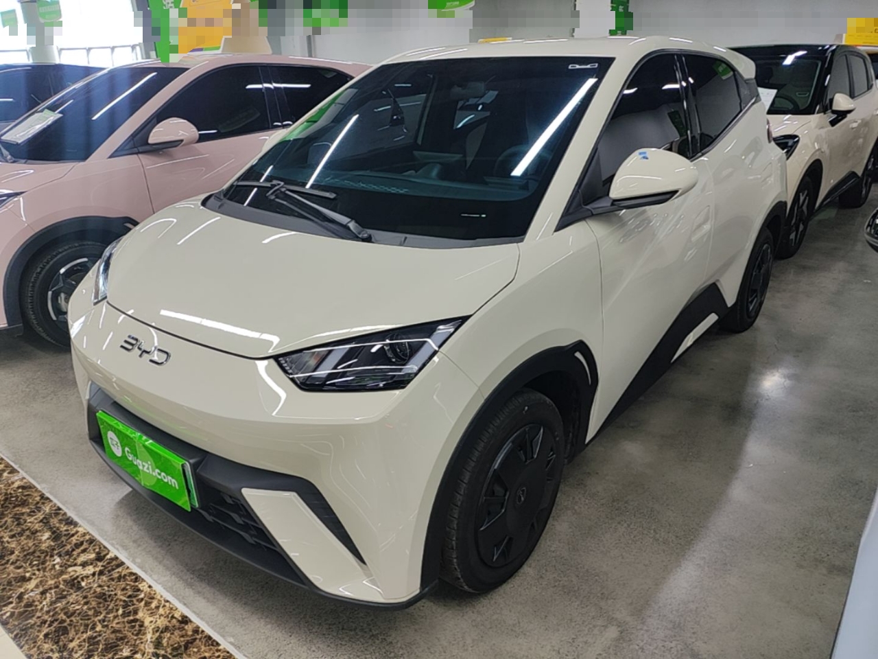 Parte inferior delantera