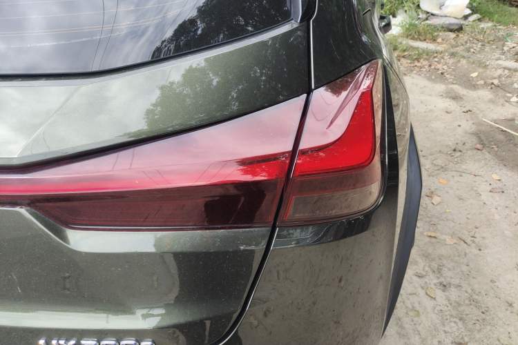 Used Lexus UX New Energy 2020 300e Pure·Joy Edition Exterior 6