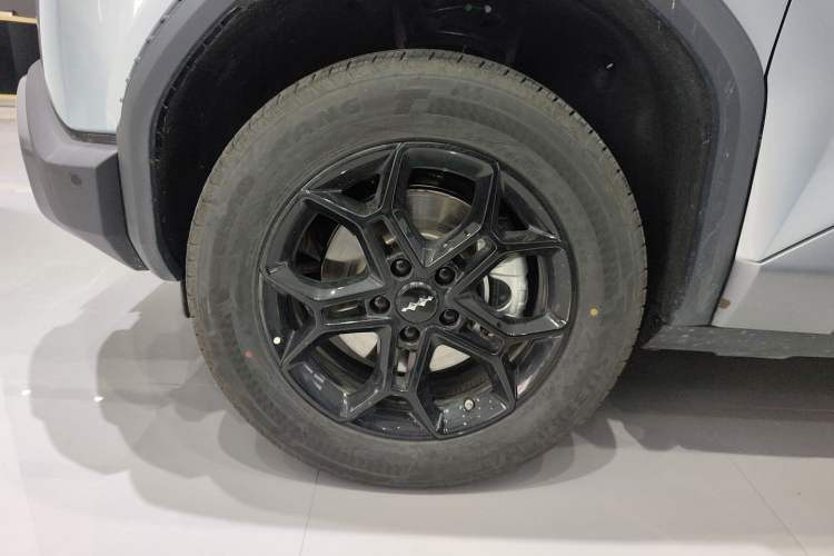 Used Formula Leopard Titanium 3 2025 Model 501KM Rear-Drive Ultra Version