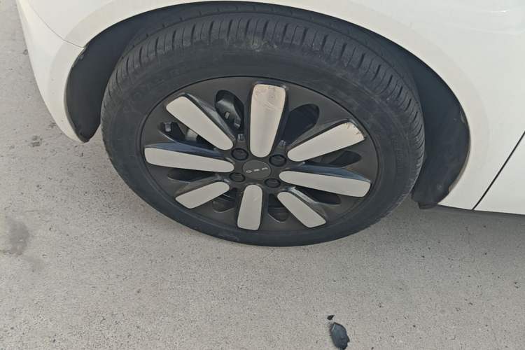 Used ORA Black Cat 2019 351 km Goddess Edition