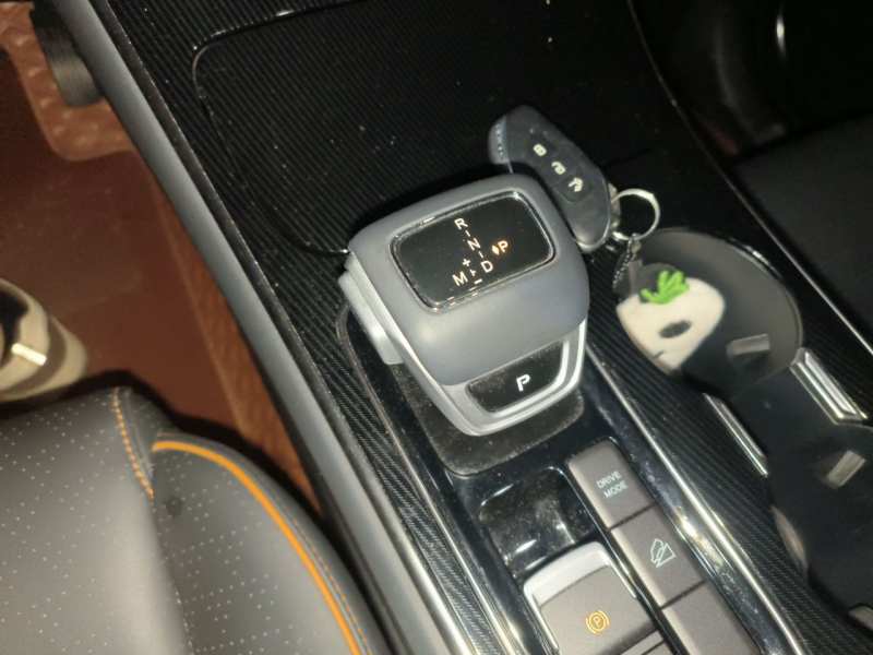 Used FORTHING Yacht 2024 1.5T DCT Guanhai Edition — 11