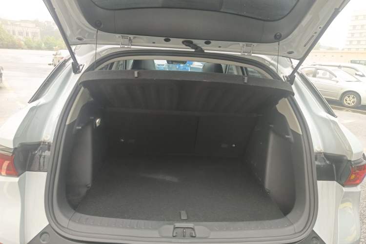 Used BYD Yuan PLUS 2023 Champion Edition 430KM Superior Model