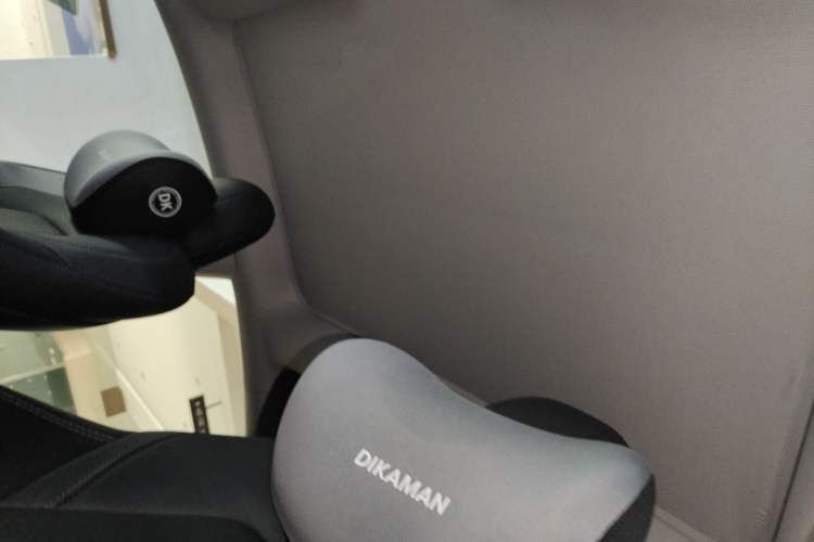 Used Tesla Model 3 2022 Rear-Wheel-Drive Version Headliner