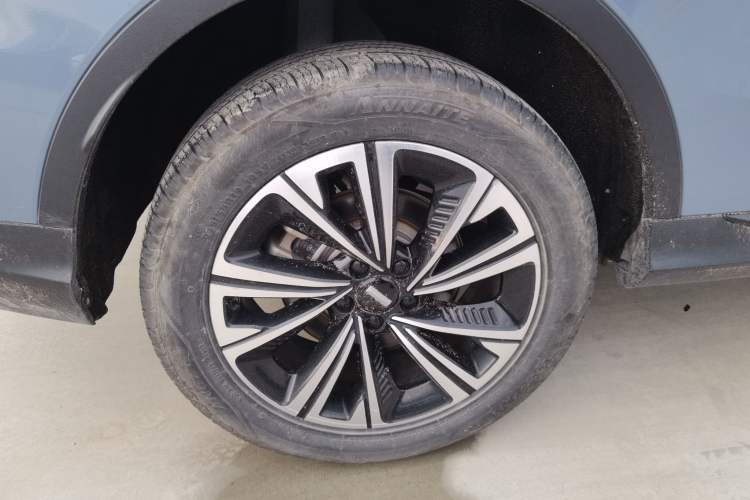 Used Wey Latte DHT 2022 1.5T DHT Medium Cup
