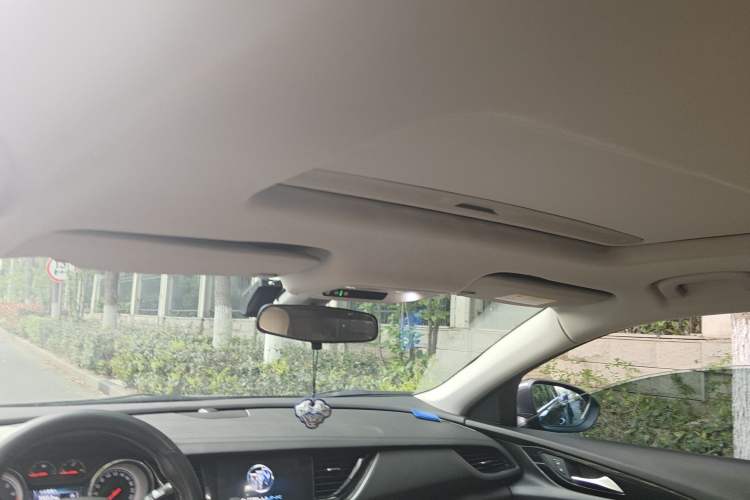 Used Buick Regal 2019 20T Luxury Model China VI Standard Headliner