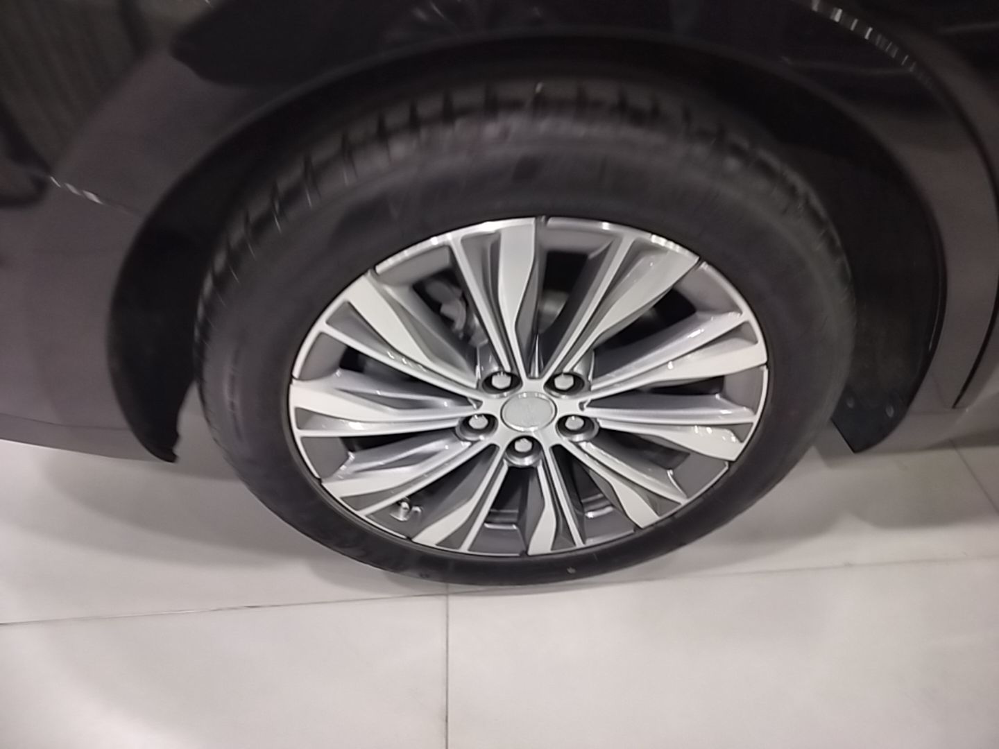 Hongqi E-QM5 2024 560km PLUS — снимка 11