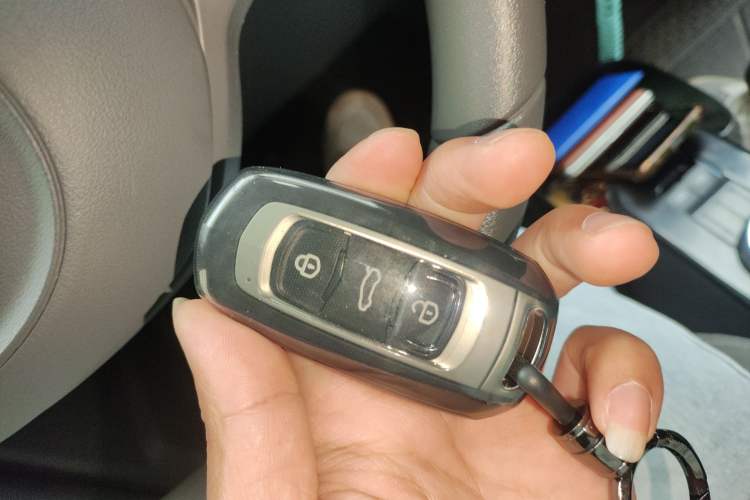 Used Geely Galaxy Panda 2024 Panda Mini 200km Endurance Bear