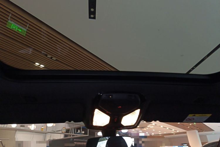 Used BMW 5 Series 2022 530Li Leading Model M Sport Package Headliner