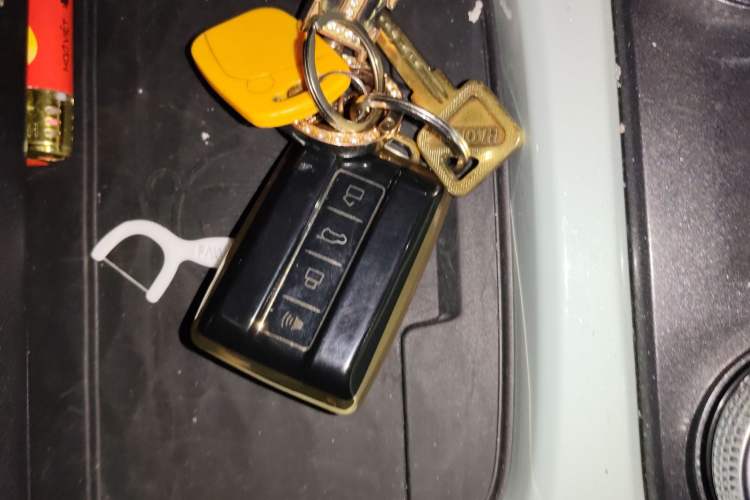 Used Tank 300 2023 City Edition 2.0T—Stylish as Ever