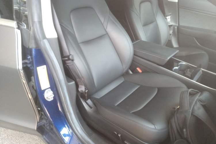 Used Tesla Model 3 2020 Revised Version Standard Range Rear-Wheel Drive – Upgraded Edition