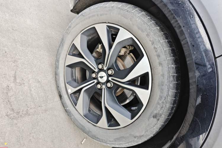 Used Ford Mustang Mach-E 2021 AION Y Plus Rear-Drive Luxury Edition (Long Range)
