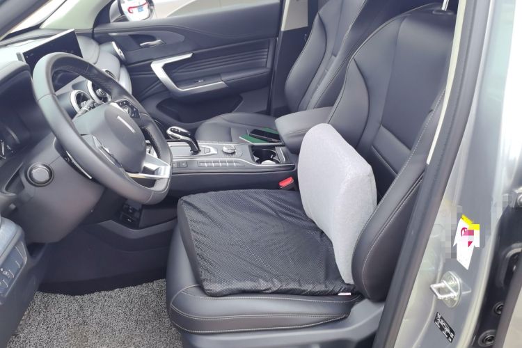 Used Wey VV5 2020 1.5T Two-Wheel Drive Color Pioneer
