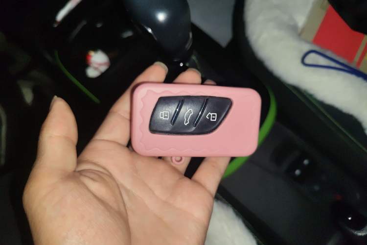 Used Roewe Clever 2021 302 km New Four-Seater Super-Efficient Version Vehicle Key